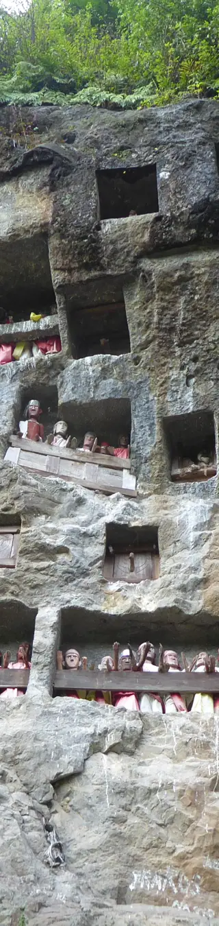 Wanderungen durch Toraja-Hochland zu den traditionellen Höhlengräbern